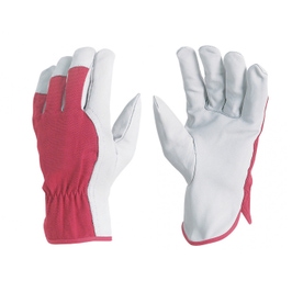 MANUSI PIELE VITEL K206 M10